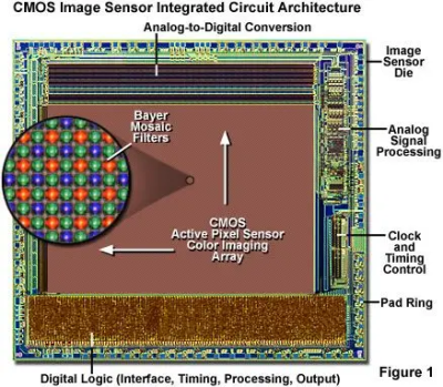 https://evidentscientific.com/en/microscope-resource/knowledge-hub/digital-imaging/cmosimagesensors